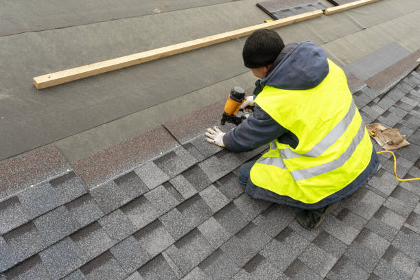 Best Green or Eco-Friendly Roofing Solutions  in South Chicago Heights, IL