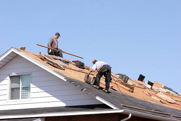 Best Skylight Installation and Repair  in South Chicago Heights, IL